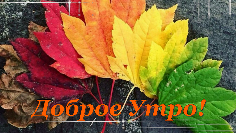 Красивая Музыкальная Открытка! Доброе Утро!