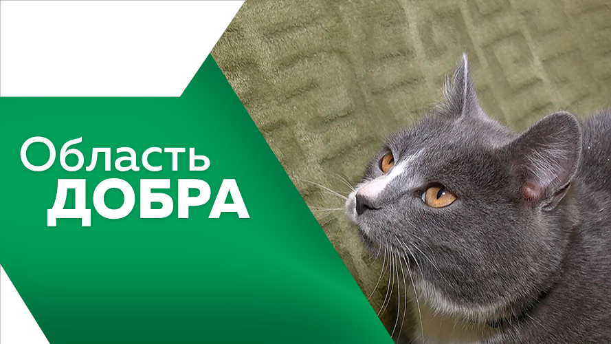 Программа "Область добра" №8