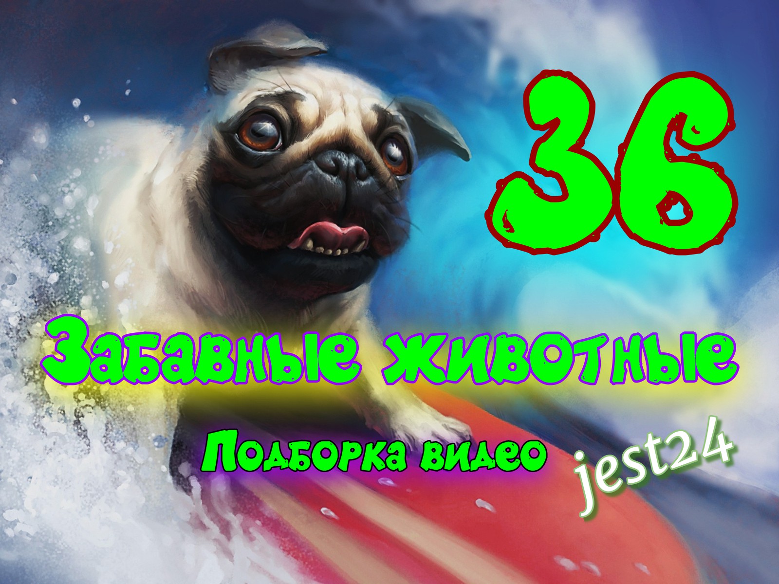 Забавные животные / Подборка видео №36