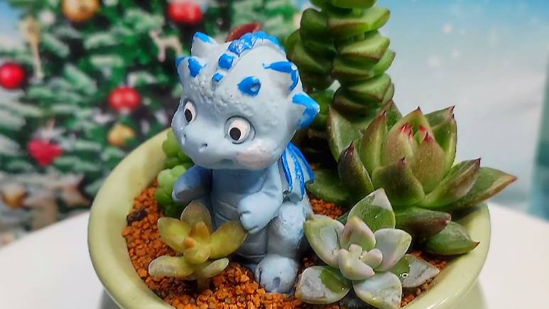 Сделать небольшой садик из суккулентов своими руками - это очень просто! Показываю пошагово!