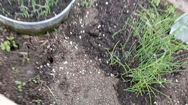 5 утра Московская область 6  мая