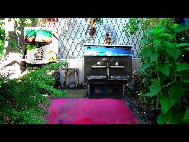 ️#Пчелы на воде .bees at the watering hole