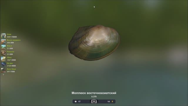 Моллюск восточноазиатский, как поймать в игре Трофейная рыбалка 2