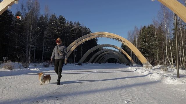 Усы Лапы Хвост - Чем кормить и как воспитывать