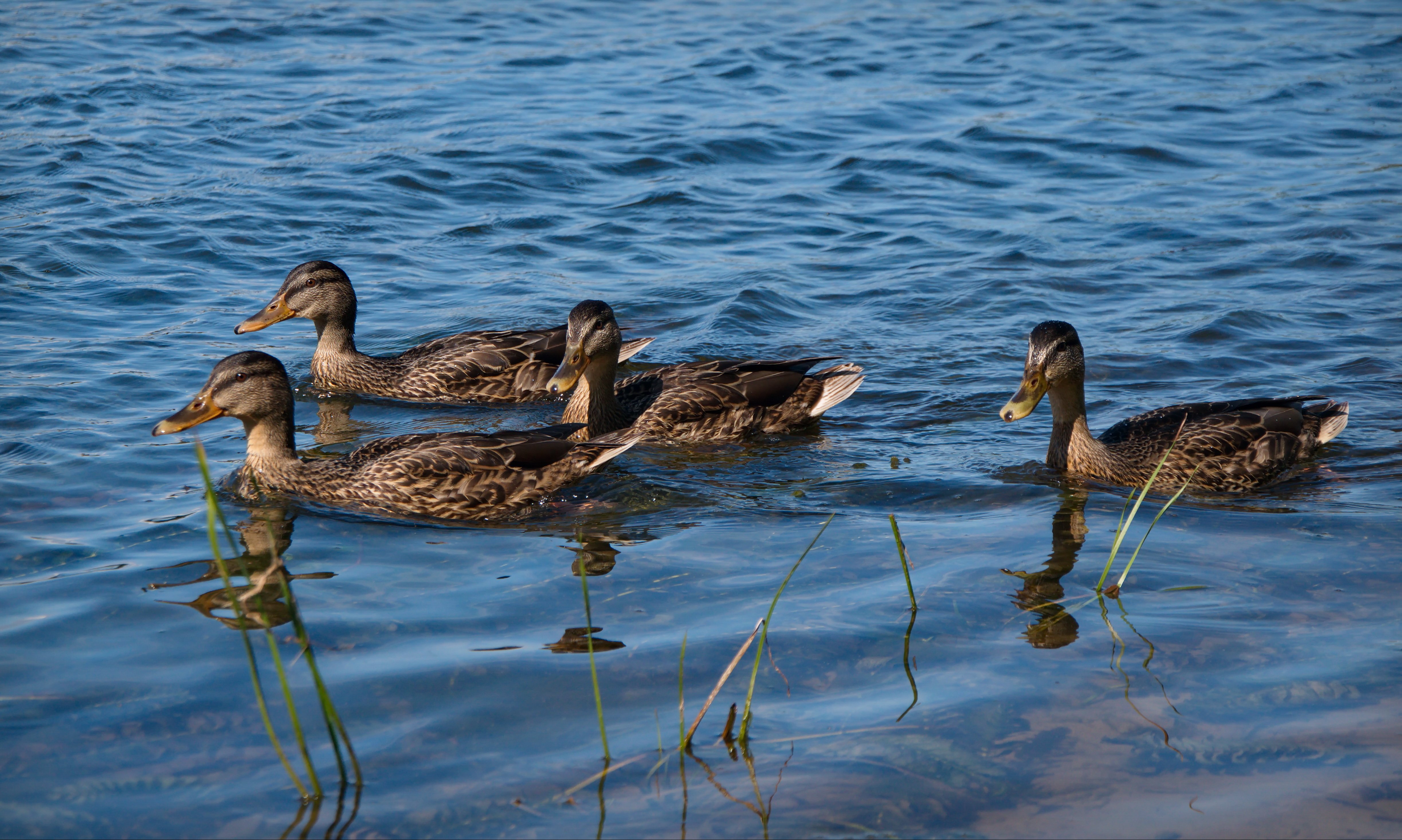 Семейная прогулка по набережной реки Вятка, город Киров (конец сентября 2023 года)