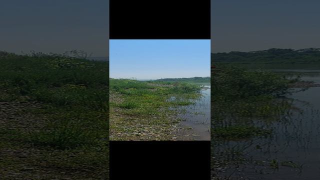 речка в Ашмарино 15.06.24г