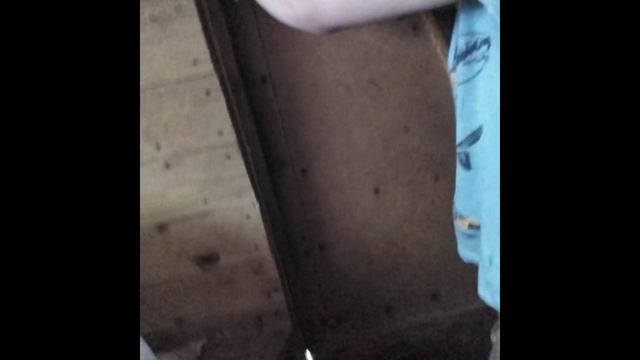 ко мне приехали близнецы Глеб и Захар. 18.06.2024.