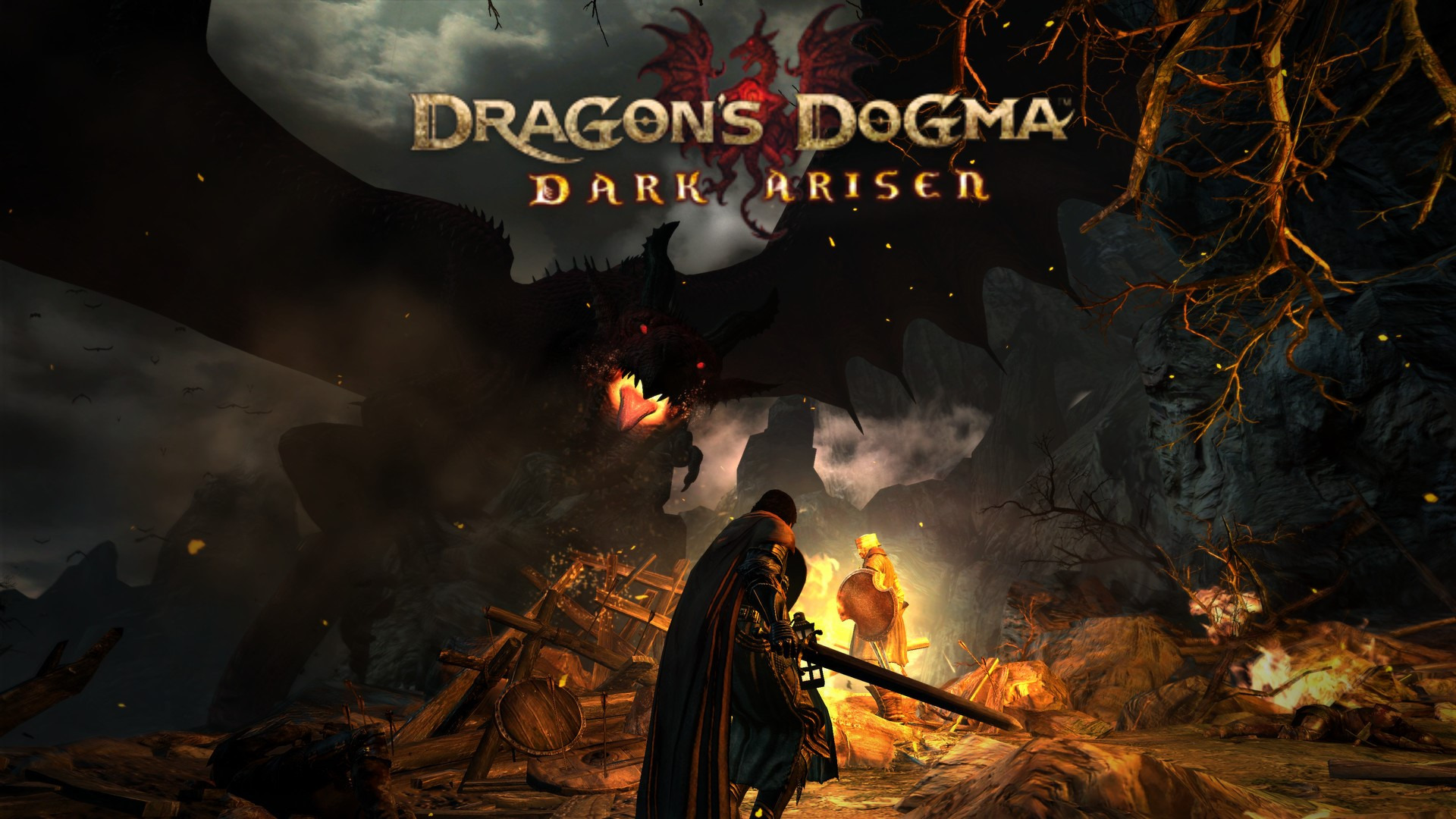 Dragon's Dogma: Dark Arisen #3