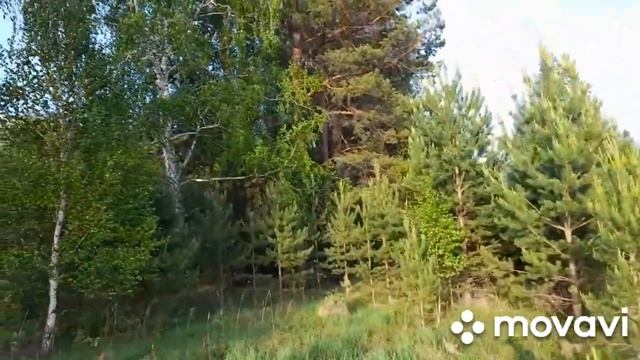 Уральская природа,май.