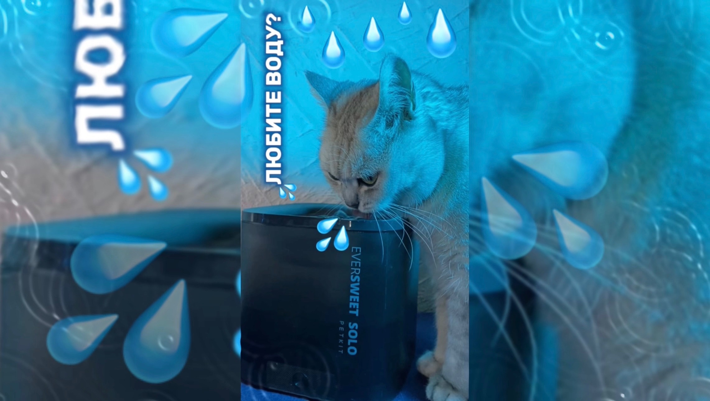 Любимый фонтанчик