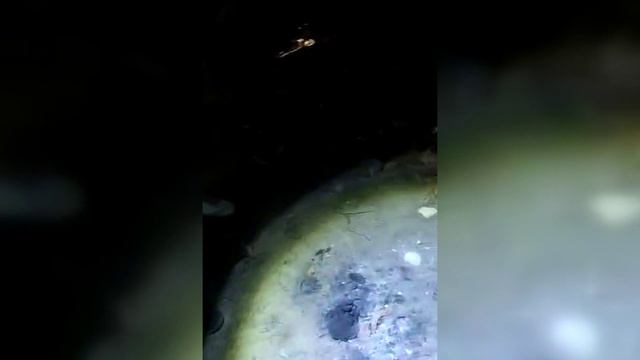 Налётчиков на автозаправочную станцию не спасли маски и перчатки