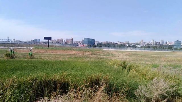 Прогулка по парку возле РостовАрены (новейший стадион), Ростов-на-Дону. Видеообзор 04.08.2024 г.