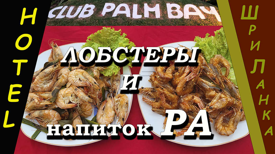 Отель Клуб Пальм Бэй (Club Palm Bay). Шри-Ланка (Sri Lanka). Лобстеры. Напиток РА.