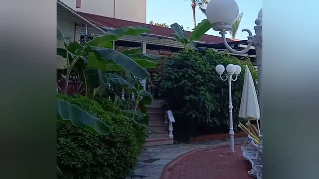 отель Bieno Club SVS у бассейна