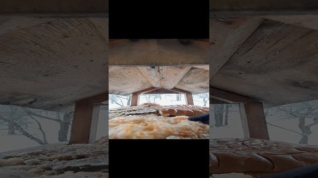 20231203_110604~2.mp4озвучка телевизор.03.112.2023г.