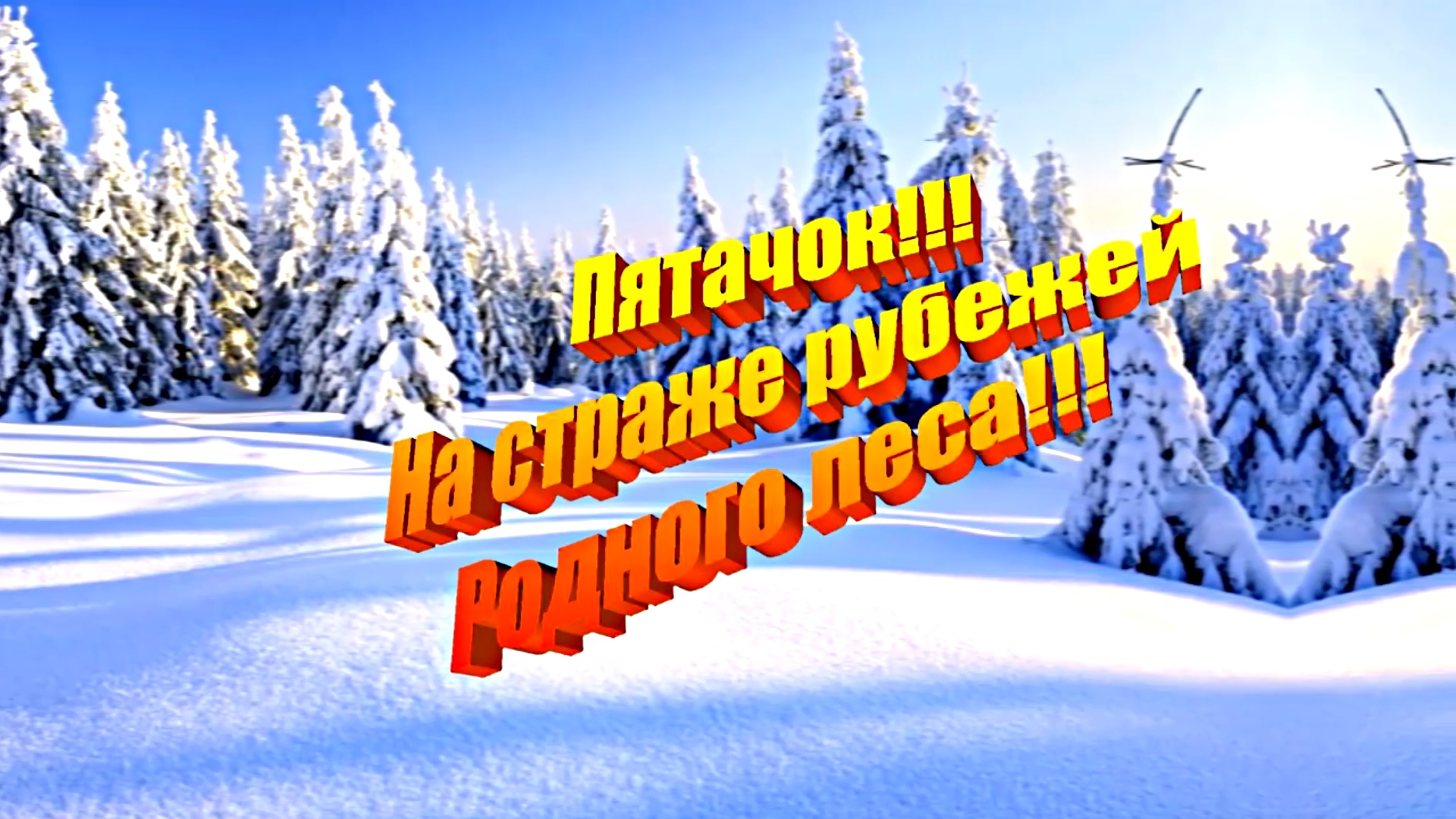 Пятачок!!! На страже рубежей Родного леса!!!