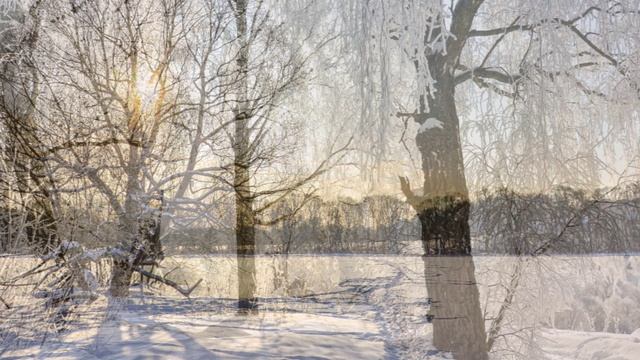 "УТРО ТУМАННОЕ"... (Фото Владимира Чистякова (Подольск) - Поёт Георгий Виноградов)