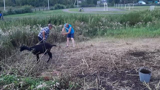 Приехали в село Нижнекаменка к родственникам, Алтайский край!