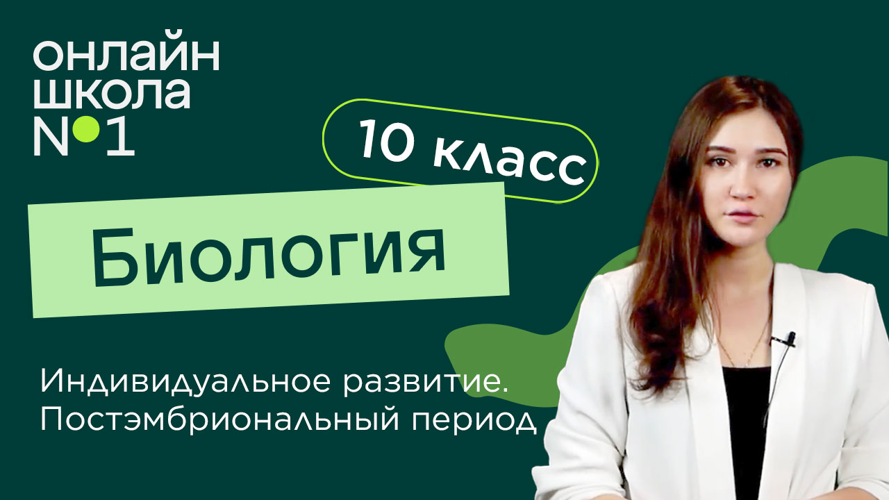 Индивидуальное развитие. Постэмбриональный период. Биология 10 класс. Видеоурок 25