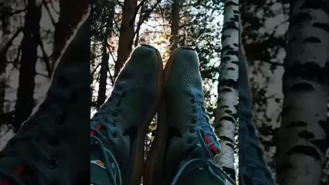 Все на Северку!