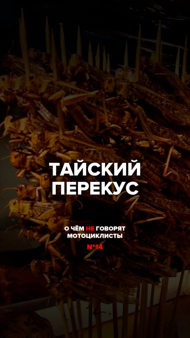 Тайский перекус | О чём не говорят мотоциклисты №14