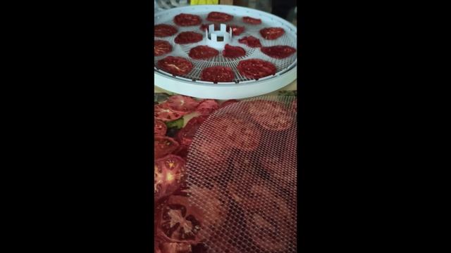 КАК ПРАВИЛЬНО  ВЫСУШИТЬ ТОМАТЫ