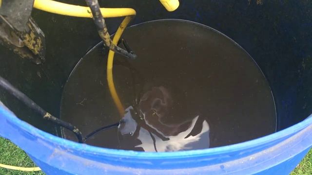 Что бы томаты спели, краснели и не болели.