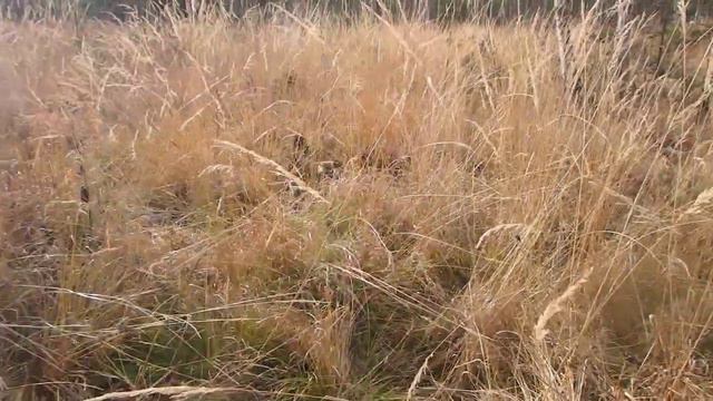 Ориентирование по компасу. Если забыли азимут