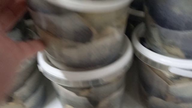 Магазин низких цен "Светофор": свежий обзор