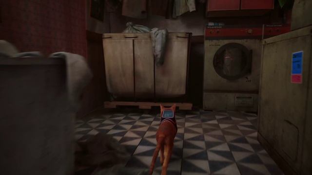 Stray #1 чайное прохождение