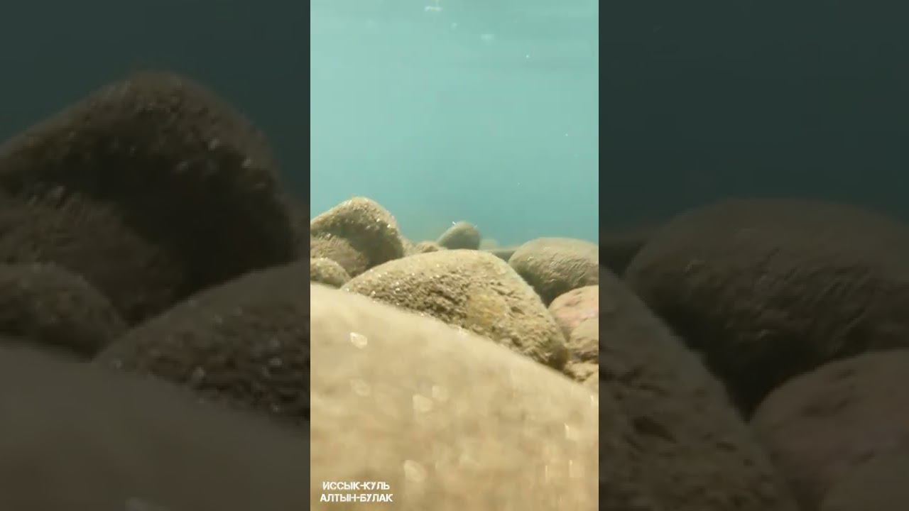 Иссык-Куль | Алтын - Булак | Кыргызстан #shorts