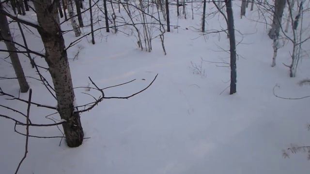 Ориентирование. Стабилизация стрелки компаса