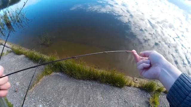 Фидер Daiwa Windcast WNF11MHQ.