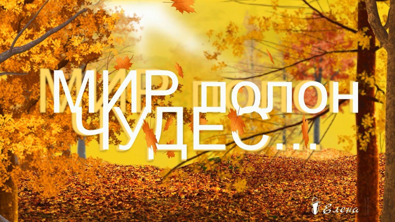 МИР ПОЛОН ЧУДЕС*