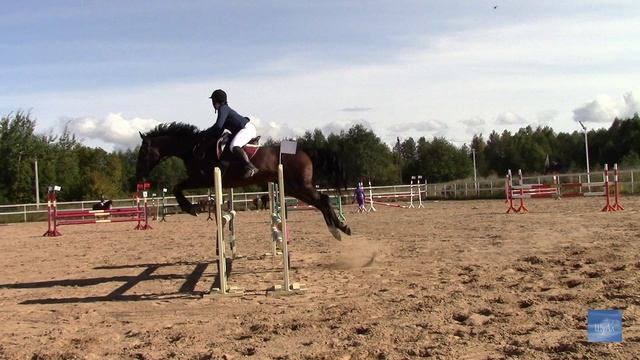 Первенство Псковской области. Соревнования по конкуру.