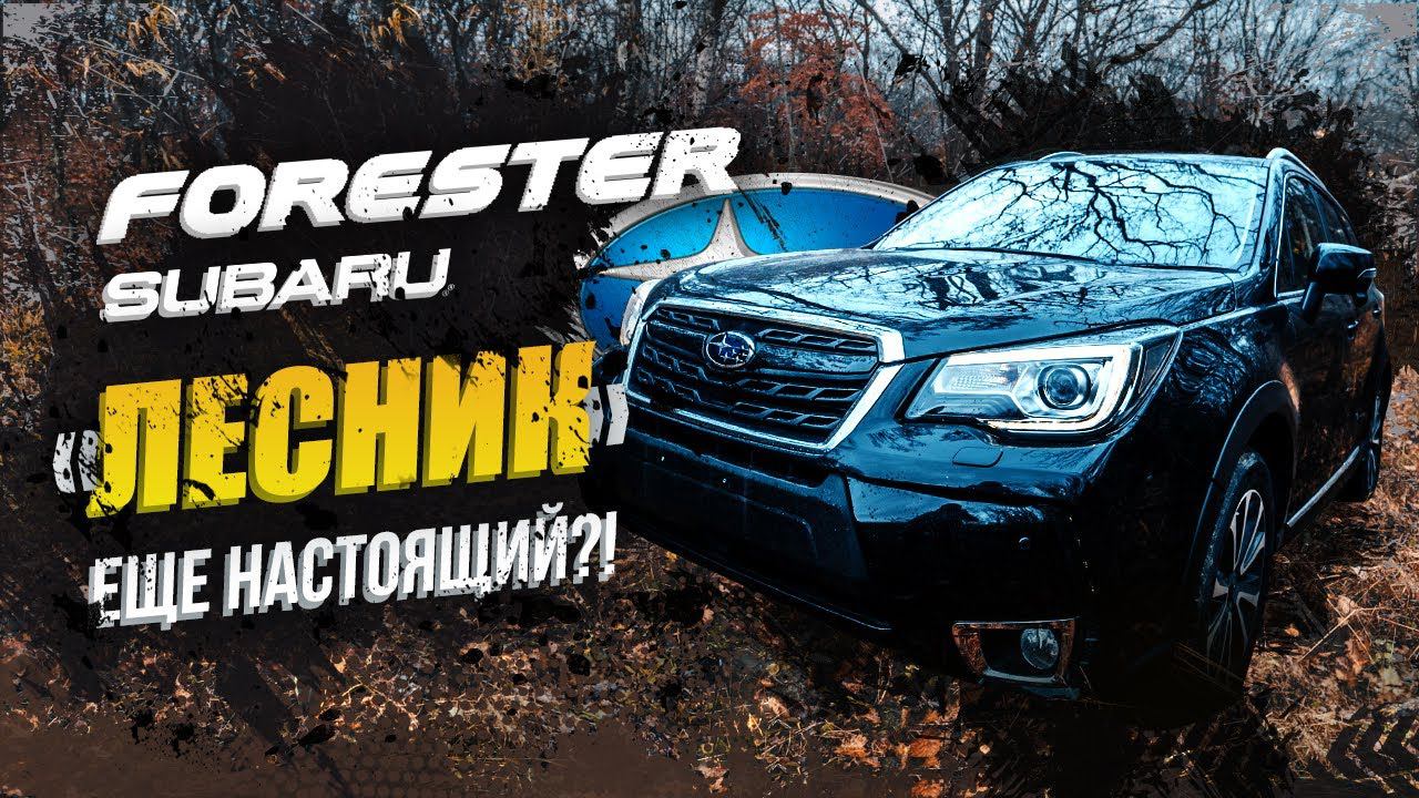 SUBARU FORESTER - 20лет лидер в кроссоверахАтмо или Турбо? "А я Никита, люблю 22см... клиренса"