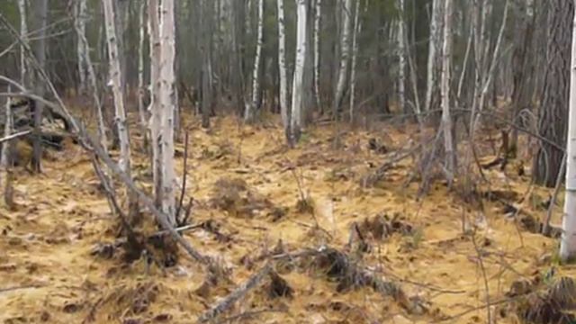 Ориентирование по компасу. Ч. 3 - К сложному