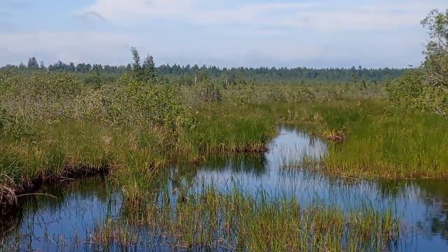 У истока ведьминой реки