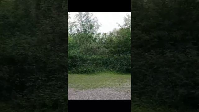 Маршрут по Крыму. Точка 3. Долина Привидений гора Демерджи. Кавказская пленница.