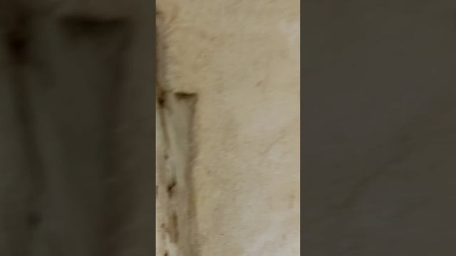 Горицкий монастырь, Переславль Залесский