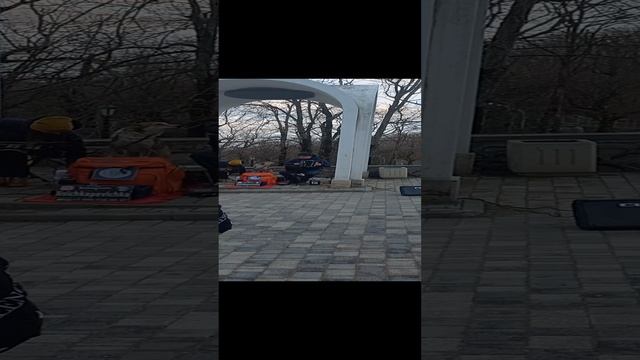 Собака поет ! Железноводск