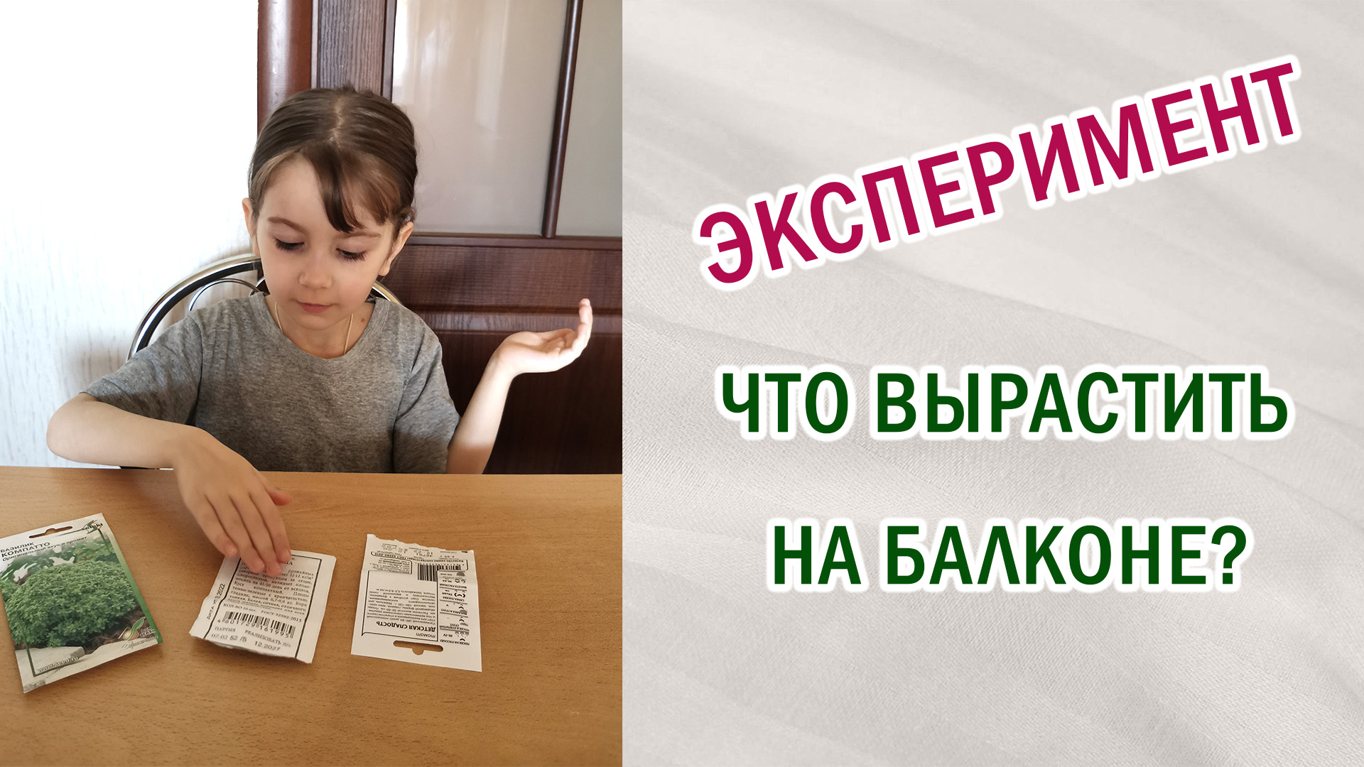 Что можно вырастить на балконе. Чем занять ребёнка. Развиваем навыки посадки. Кабачки. #Эксперимент