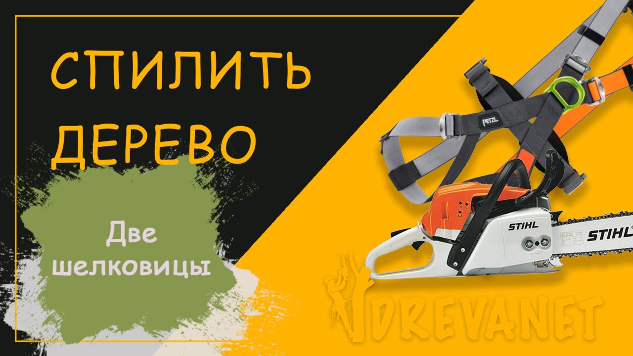 Спил деревьев во дворе двухэтажки