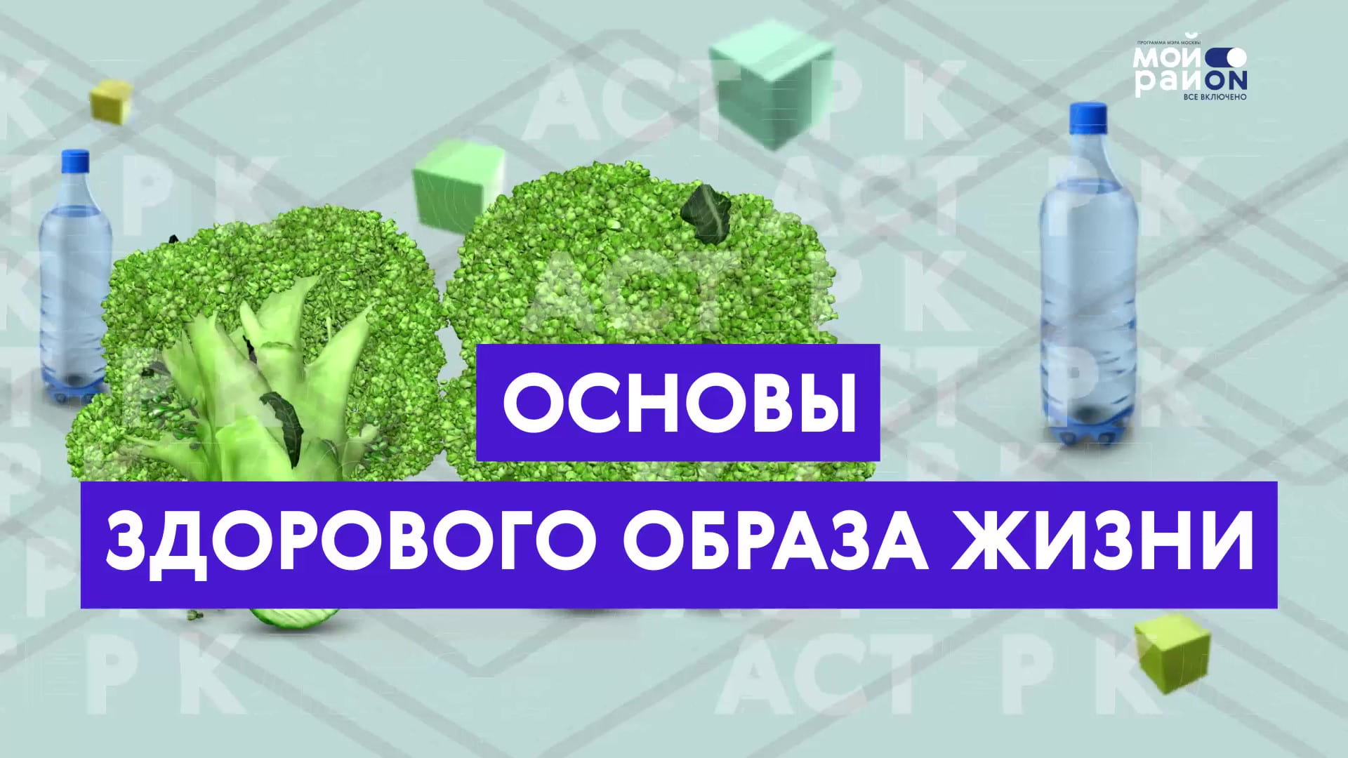 Мастер-класс: основы здорового образа жизни