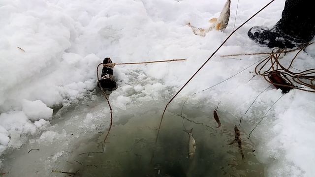 Рыбалка на переметы. Проверка 10.03.23г.