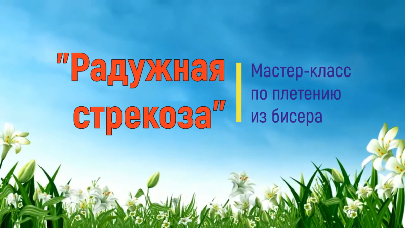 "Радужная стрекоза"