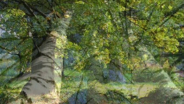 Колыбельная песнопения