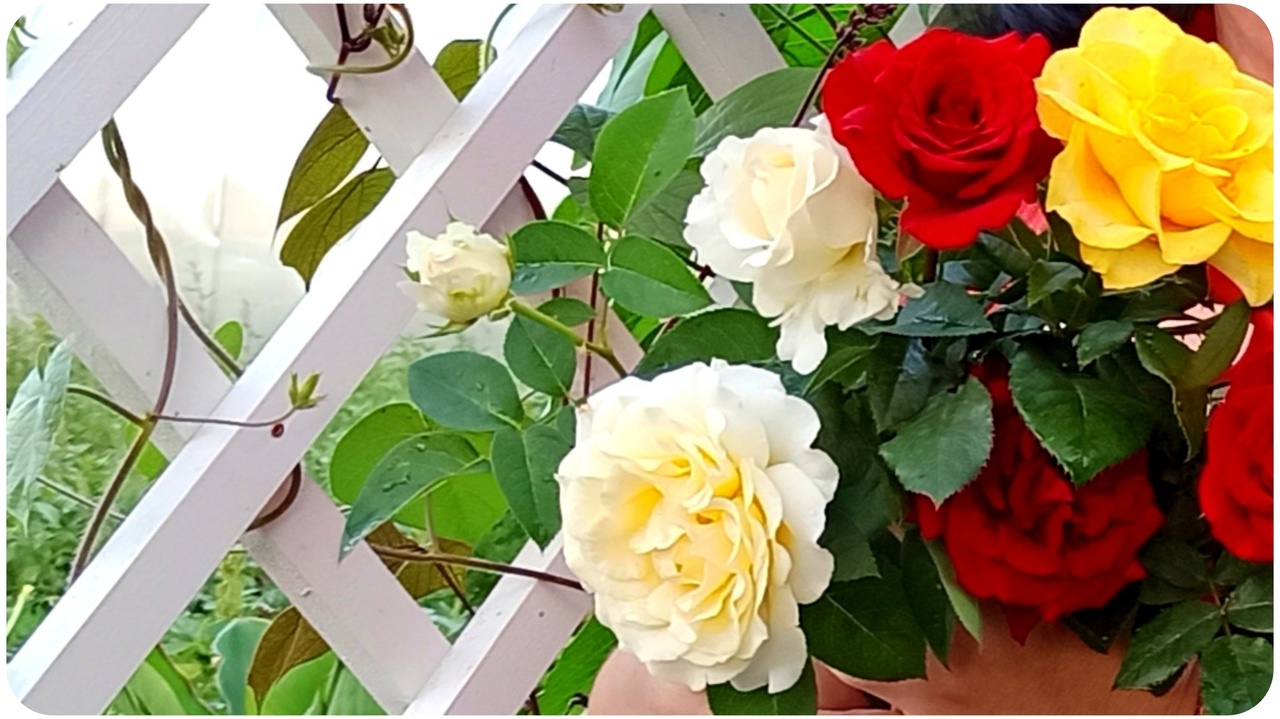 Невероятная летняя красота во влоге! Мы так много трудились, пора бы и отдыхать))