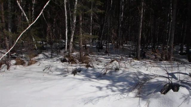 Вспомогательные способы ориентирования. Часть 9