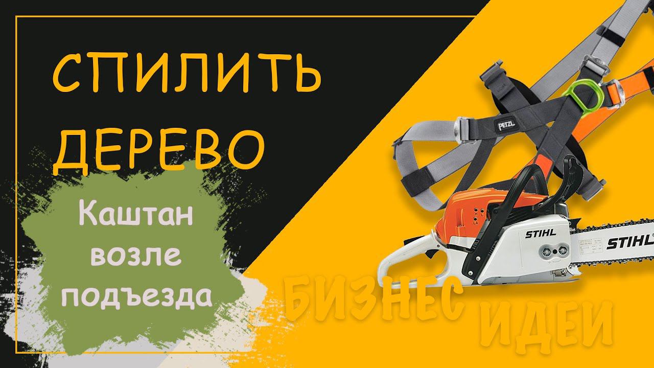 Спиливание деревьев. Спилить каштан возле подъезда